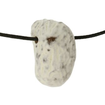 Slangenhuidagaat