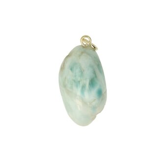 Larimar Dolfijnatlantissteen