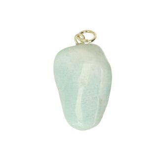 Larimar Dolfijnatlantissteen