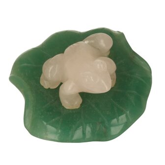 Rozenkwarts kikker op Jade blad