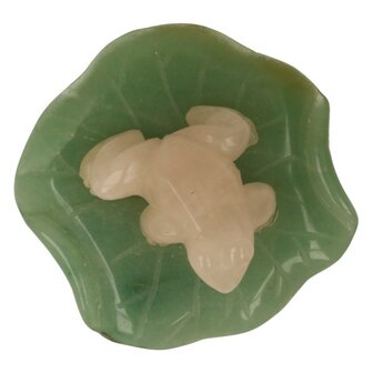 Rozenkwarts kikker op Jade blad