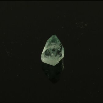 Apofylliet piramides groene &lsquo;gem&rsquo;