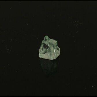 Apofylliet piramides groene &lsquo;gem&rsquo;
