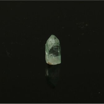 Apofylliet piramides groene &lsquo;gem&rsquo;