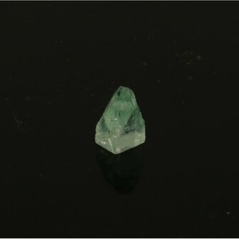 Apofylliet piramides groene &lsquo;gem&rsquo;