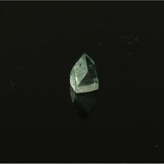 Apofylliet piramides groene &lsquo;gem&rsquo;