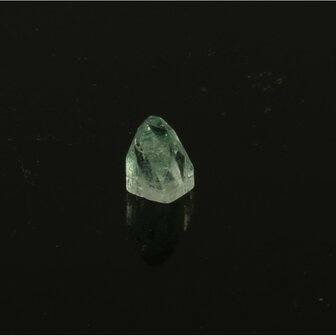 Apofylliet piramides groene &lsquo;gem&rsquo;
