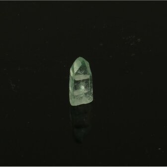 Apofylliet piramides groene &lsquo;gem&rsquo;