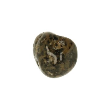 Cheeta Agaat
