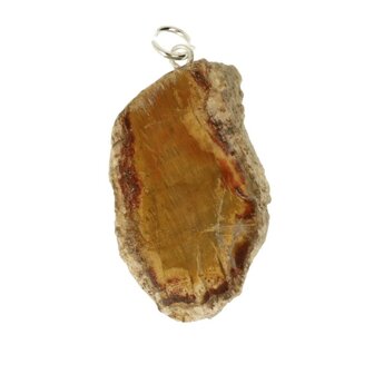 versteend hout