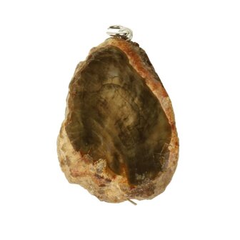 versteend hout