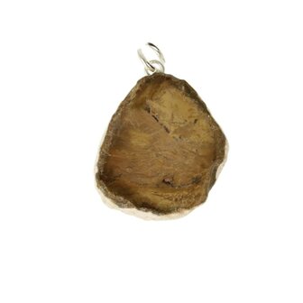 versteend hout