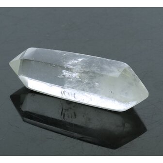 Self healer (zelfhelend),  dubbeleinder 