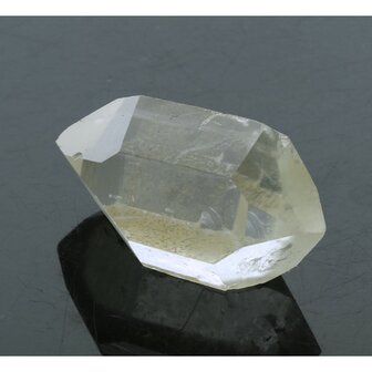 Self healer (zelfhelend),  dubbeleinder 