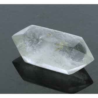 Self healer (zelfhelend),  dubbeleinder 