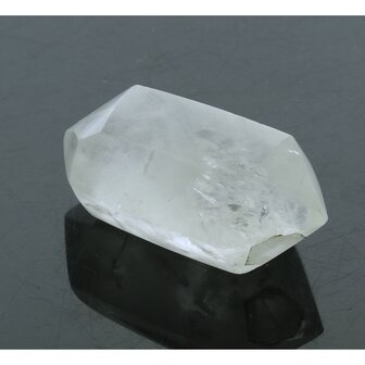 Self healer (zelfhelend),  dubbeleinder 