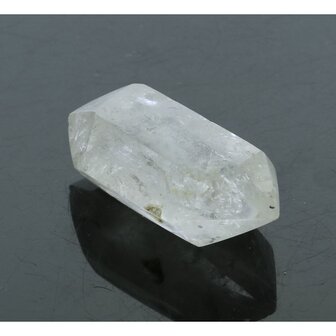 Self healer (zelfhelend),  dubbeleinder 