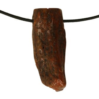 Versteend hout van de Mammoetboom