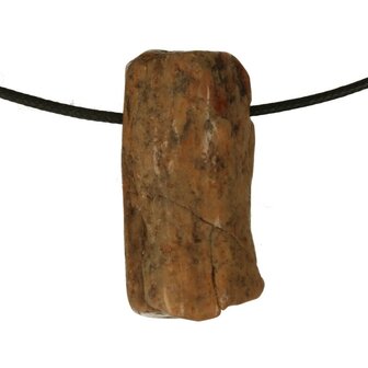 Versteend hout van de Mammoetboom