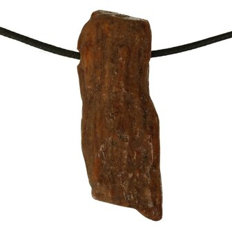 Versteend hout van de Mammoetboom