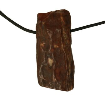 Versteend hout van de Mammoetboom