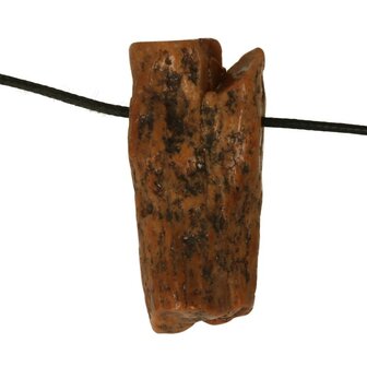 Versteend hout van de Mammoetboom