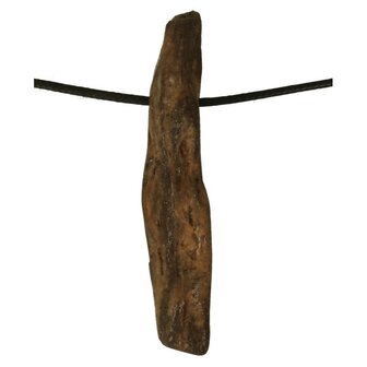 Versteend hout van de Mammoetboom