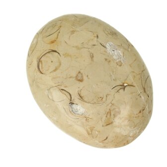 schelpen jaspis