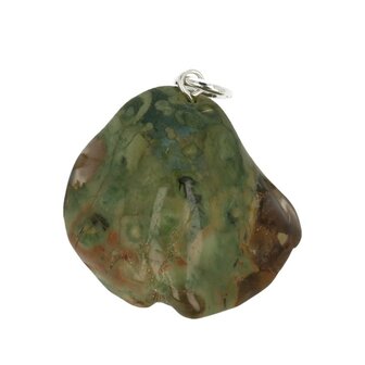   Regenwoudjaspis 