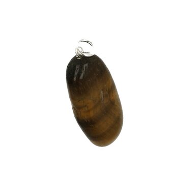 Tijgeroog ( goud ) 