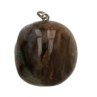   versteend hout 