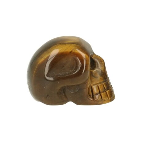 Tijgeroog ( goud ) ca 3. cm schedel