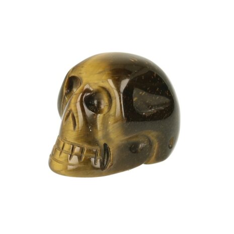 Tijgeroog ( goud ) ca 3. cm schedel