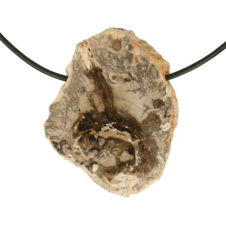 Versteend hout