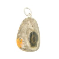 Bumblebee Jaspis (Eclipse Stone)