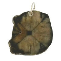 Kruissteen Chiastholiet