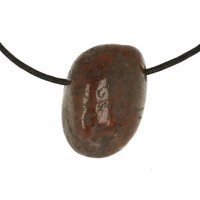 Dinosaurusbot doorboord incl koord