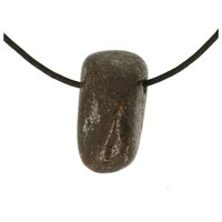 Dinosaurusbot doorboord incl koord