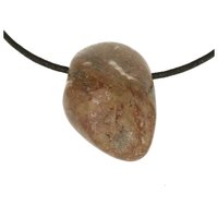 Dinosaurusbot doorboord incl koord