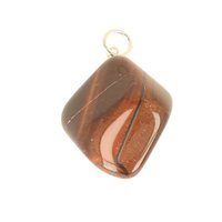 Katteoog rode tijgeroog