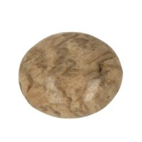 Zebradoriet graphic rookkwarts in veldspaat