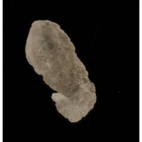 Blueprint of wholeness (Blauwdruk van heelheid)