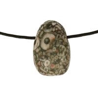 Crinoid fossiel in Marmer (Australië) doorboord inclusief koord