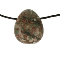 Crinoid fossiel in Marmer (Australië) doorboord inclusief koord