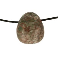 Crinoid fossiel in Marmer (Australië) doorboord inclusief koord