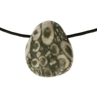 Crinoid fossiel in Marmer (Australië) doorboord inclusief koord