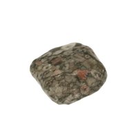 Crinoid fossiel in Marmer (Australië)