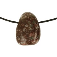 Crinoid fossiel in Marmer (Australië) doorboord inclusief koord