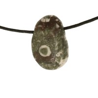 Crinoid fossiel in Marmer (Australië) doorboord inclusief koord