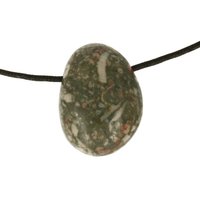 Crinoid fossiel in Marmer (Australië) doorboord inclusief koord